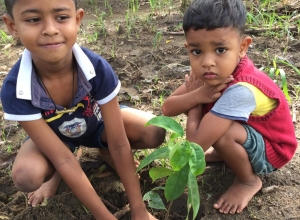 +94 71 247 9539.jpeg