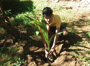 +94 71 307 8584.jpeg