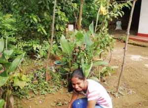 +94 71 362 6712-2.jpeg