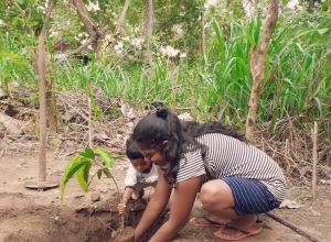 +94 71 375 8337.jpeg