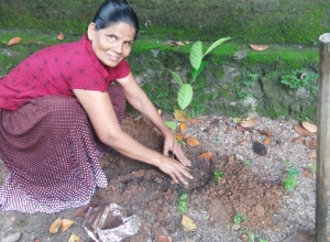 +94 71 387 0415.jpeg