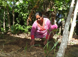 +94 71 407 8343.jpeg