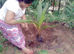 +94 71 485 4045.jpeg