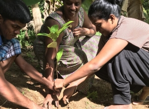 +94 71 494 6699.jpeg