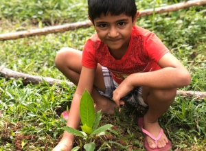 +94 71 530 6312.jpeg