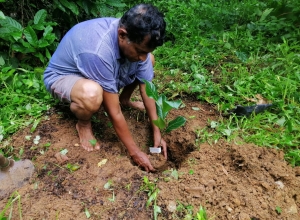 +94 71 539 9027.jpeg