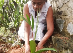 +94 71 539 9653.jpeg