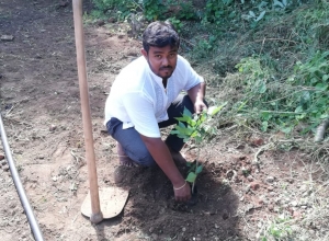 +94 71 540 5325.jpeg