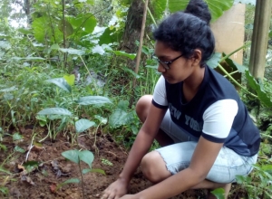 +94 71 593 2616-1.jpeg