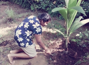 +94 71 607 3927.jpeg