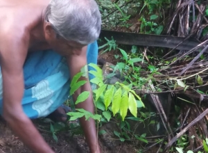 +94 71 636 7066.jpeg