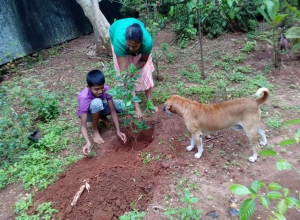 +94 71 652 7687.jpeg