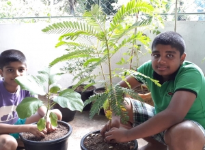 +94 71 710 7745.jpeg