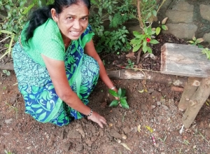 +94 71 735 4880.jpeg