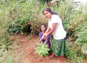 +94 71 772 0809.jpeg