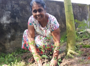 +94 71 834 2200.jpeg