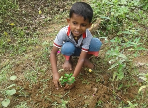 +94 71 868 8196.jpeg