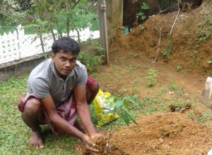 +94 71 981 5003.jpeg