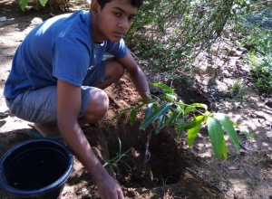 +94 72 620 7709.jpeg