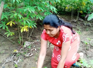 +94 75 231 3344.jpeg