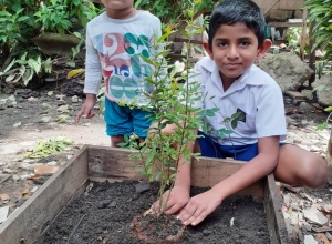 +94 75 281 7659.jpeg