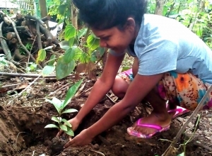 +94 75 459 4375.jpeg