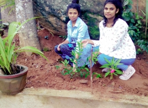 +94 75 561 5704.jpeg