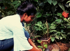 +94 75 626 6840.jpeg