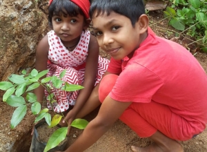 +94 75 651 9746.jpeg