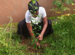 +94 75 710 5965.jpeg