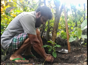 +94 75 800 6687.jpeg