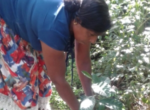 +94 75 911 3519.jpeg