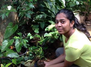 +94 76 087 1604.jpeg