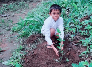 +94 76 128 2670.jpeg