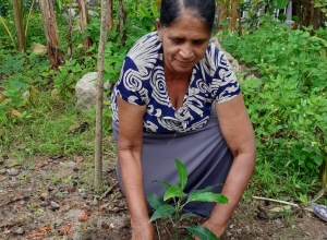 +94 76 189 3564.jpeg