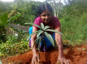 +94 76 219 3860.jpeg