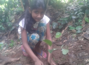 +94 76 229 7727.jpeg