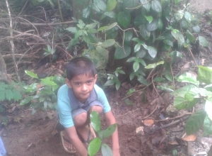 +94 76 229 7727-1.jpeg