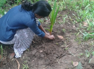 +94 76 313 0655.jpeg