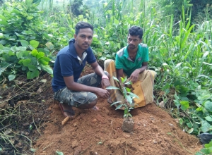 +94 76 475 2658.jpeg