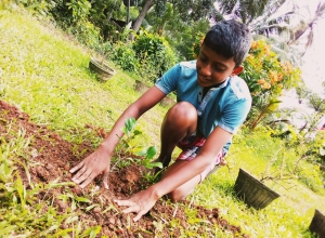 +94 76 543 5687.jpeg