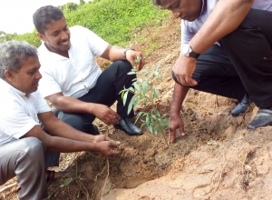 +94 76 543 5687-1.jpeg