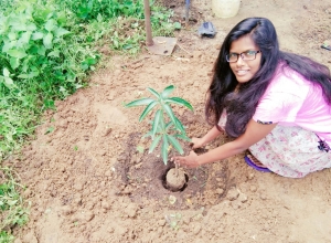 +94 76 553 0776.jpeg