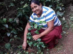 +94 76 603 5964.jpeg