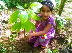 +94 76 664 2402-1.jpeg