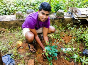 +94 76 722 6004.jpeg