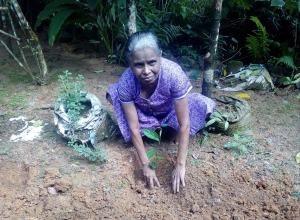 +94 76 786 0488.jpeg