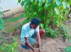 +94 76 822 2726.jpeg