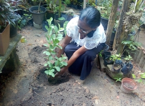 +94 77 025 6738.jpeg