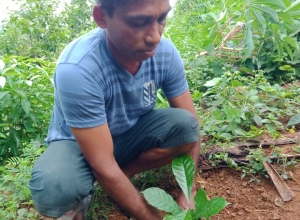 +94 77 055 1083-2.jpeg